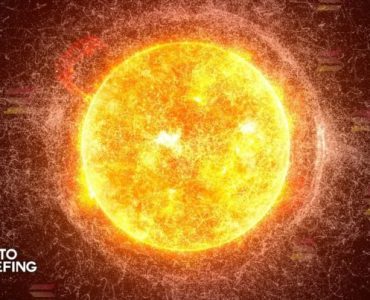 Charting the Growth of the Solana Ecosystem