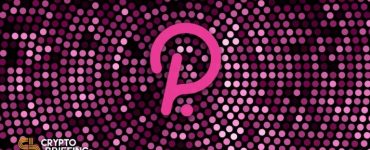 What Are Polkadot's Parachain Auctions?