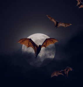 Enso Finance Plans “Vampire Attack” Targeting DeFi Index Protocols