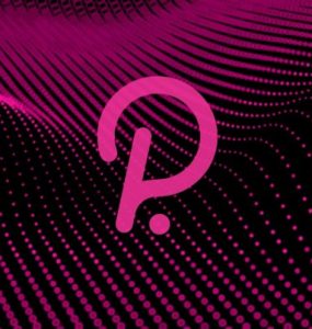 Polkadot Has Launched Parachains - Crypto Briefing