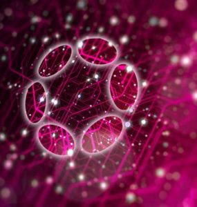 Polkadot Ecosystem Goes Multi-Chain With XCM Launch