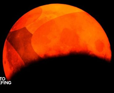 The Terra Blockchain Has Been Halted